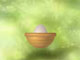 Chick and Eggs