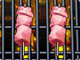Hot BBQ Party